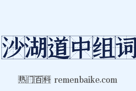 沙湖道中组词是什么意思的图片